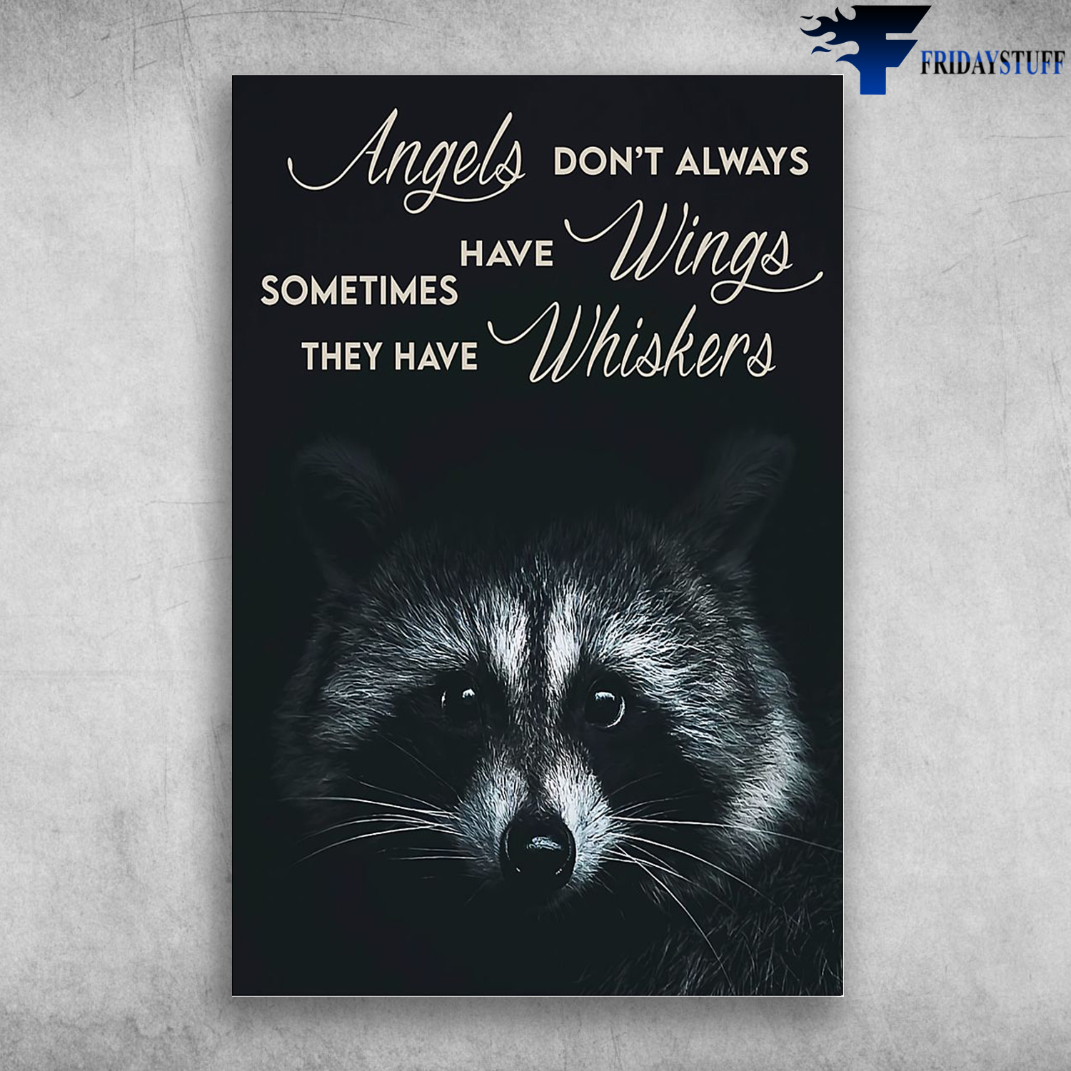The Raccoon - Angels Don't Always Have Wings, Sometimes They Have Whiskers