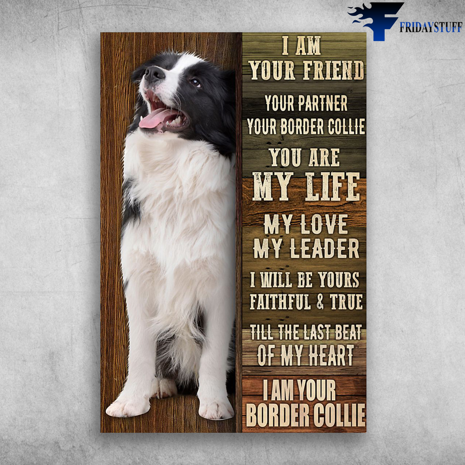 Border Collie - I Am Your Friend, Your Partner, Your Border Collie, You Are My Life, My Love, My Leade, I Will Be Yours Faithful & True Till The Last Beat Of My Heart, I Am Your Border Collie