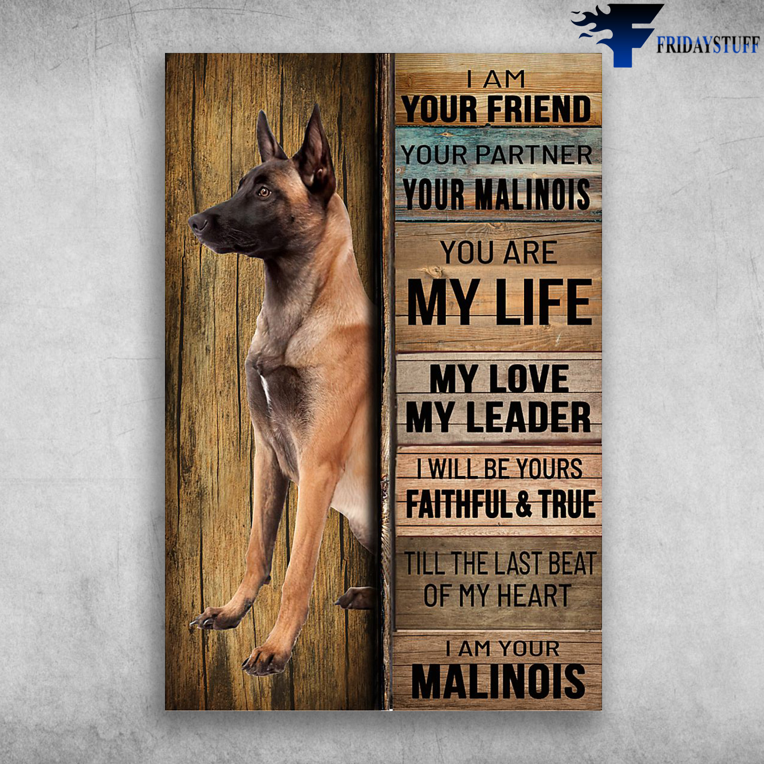 Malinois Dog - I Am Your Friend, Your Partner, Your Malinois, You Are My Life, My Love, My Leader, I Will Be Yours Faithful And True, Till The Last Beat Of My Heart, I Am Your Malinois
