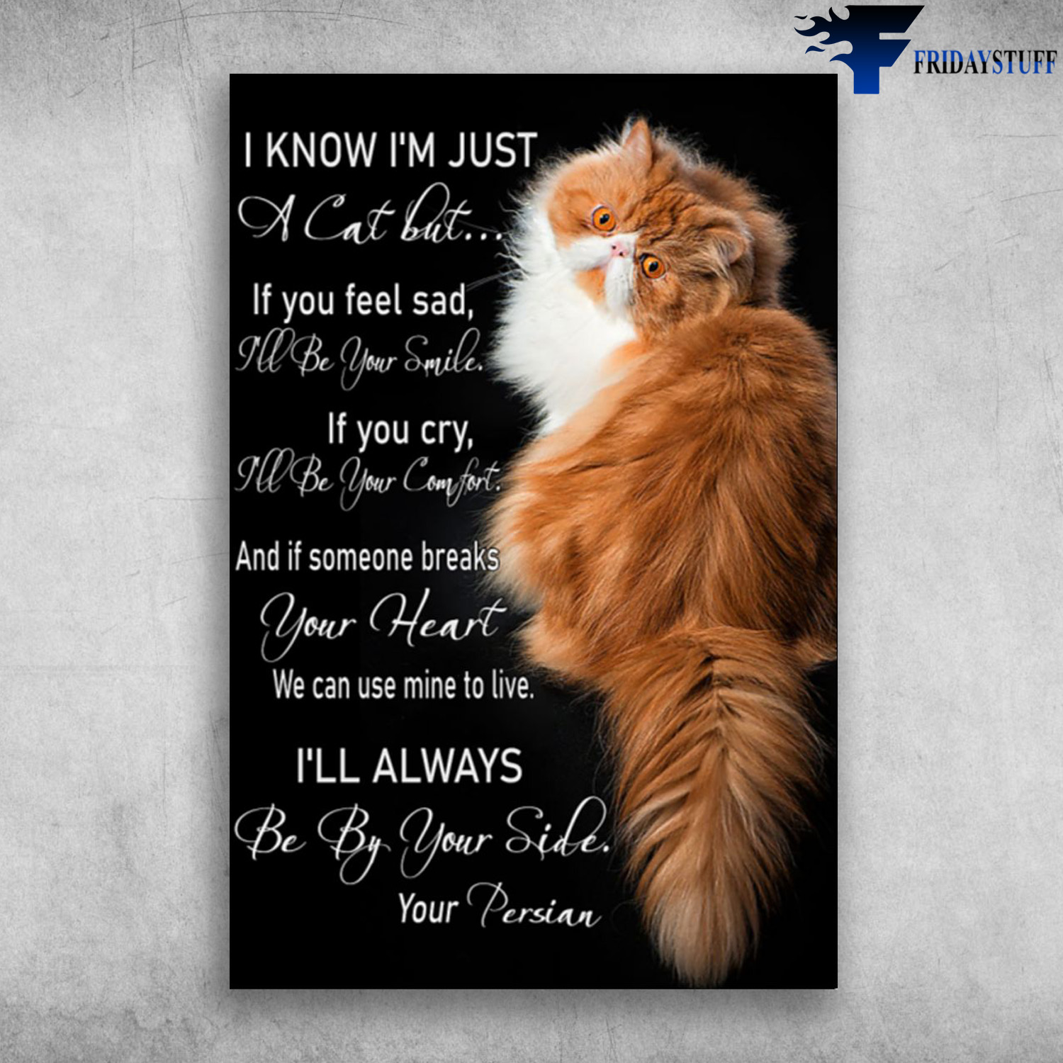 Persian Cat - I Know I'm Just A Cat But, If You Feel Sad, I'll Be Your Smile, If You Cry, I'll Be Your Comfort, And If Someone Breaks Your Heart, We Can Use Mine To Live, I'll Always Be By Your Side, Your Persian