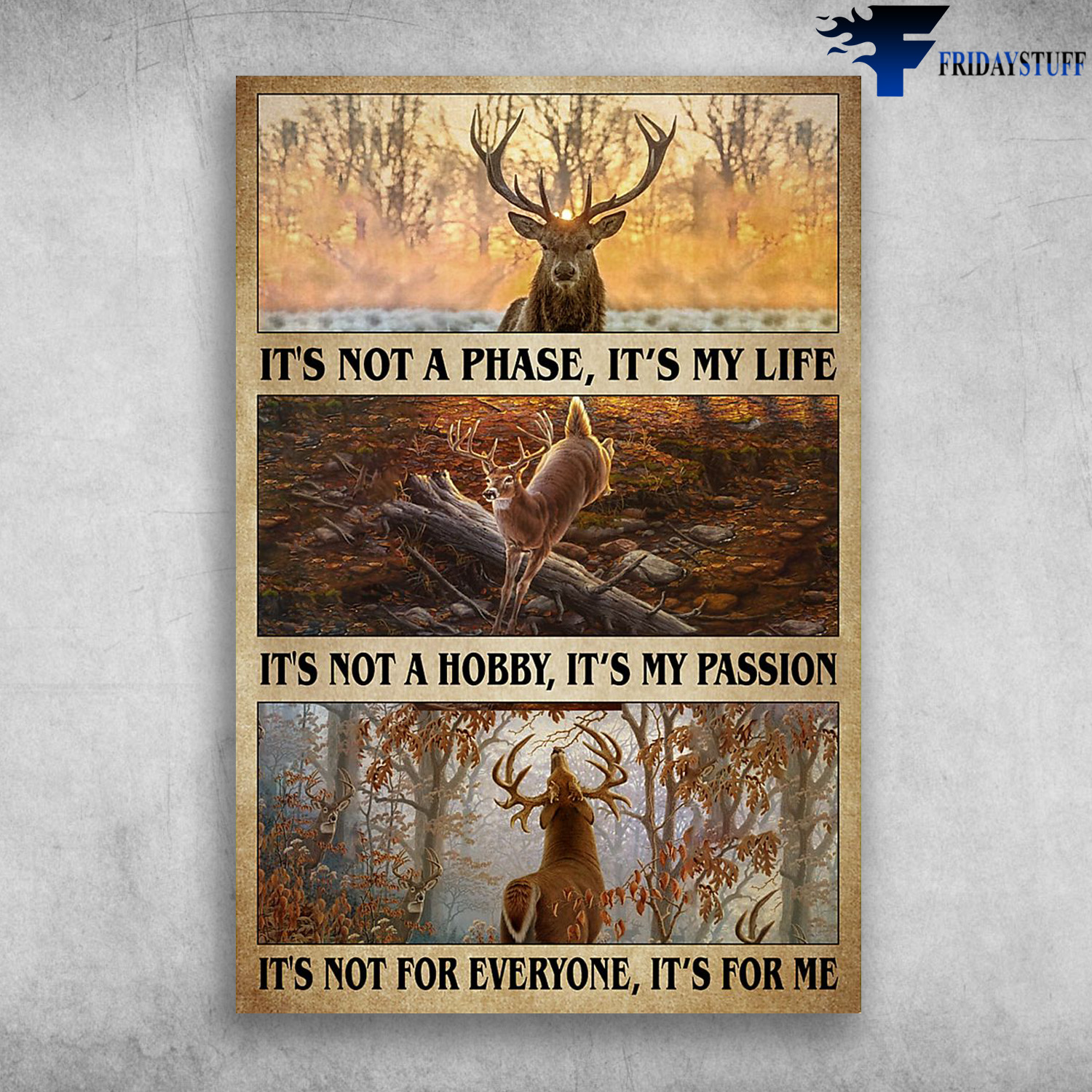 The Deer - It's Not A Phase, It's My Life, It's Not A Hobby, It's My Passion, It's Not For Everyone, It's For Me