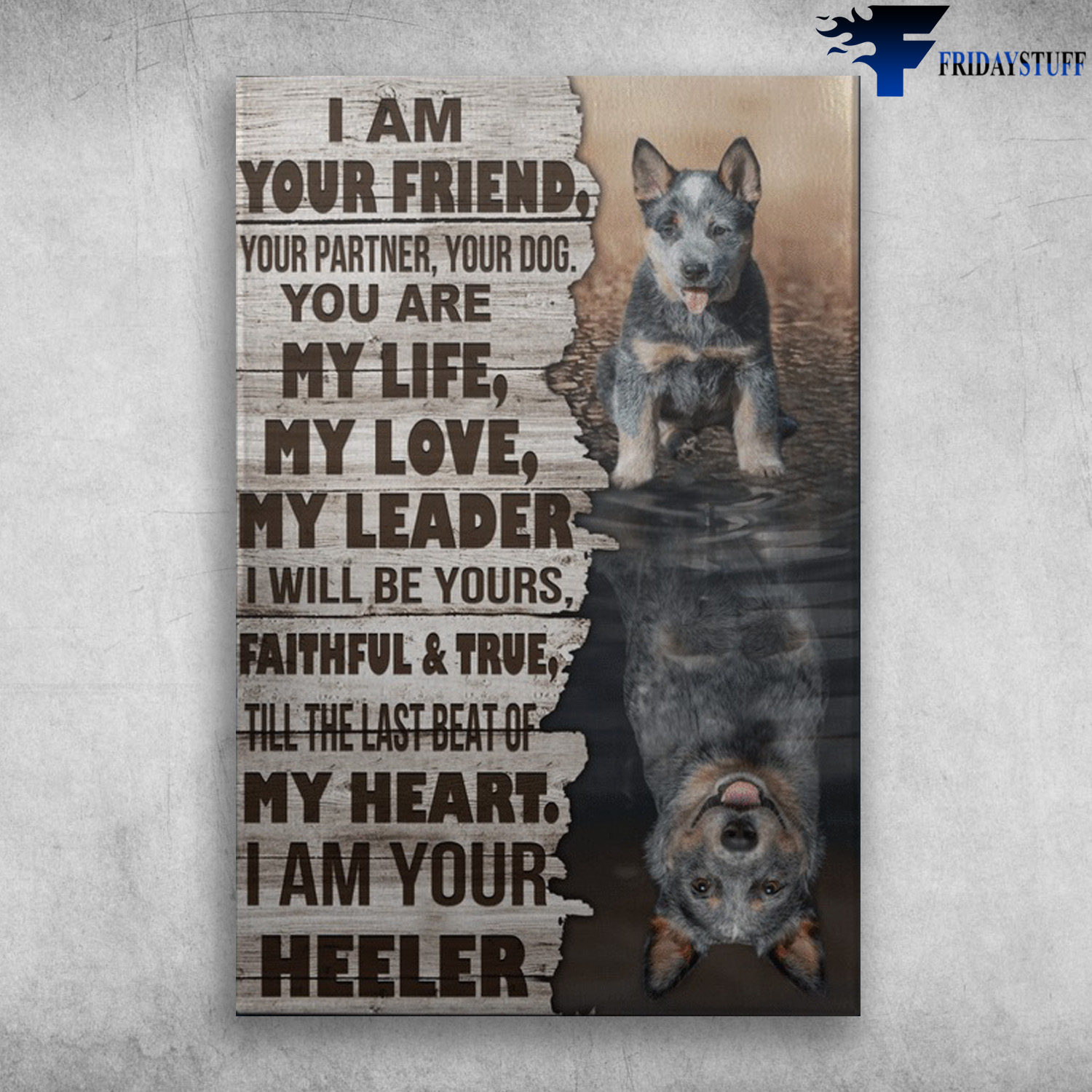 Blue Heeler - I Am Your Friend, Your Partner, Your Dog, You Are My Life, My Love, My Leader, I Will Be Yours Faithful And True, Till The Last Beat Of My Heart, I Am Your Heeler