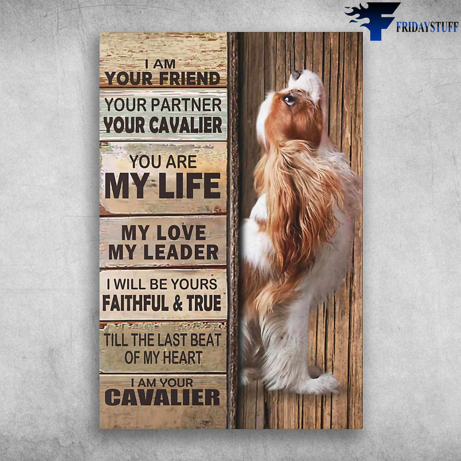 Cavalier King Charles - I Am Your Friend, Your Partner, Your Cavalier. You Are My Life, My Love, My Leader, I Will Be Yours Faithful And True, Till The Last Beat Of My Heart, I Am Your Cavalier