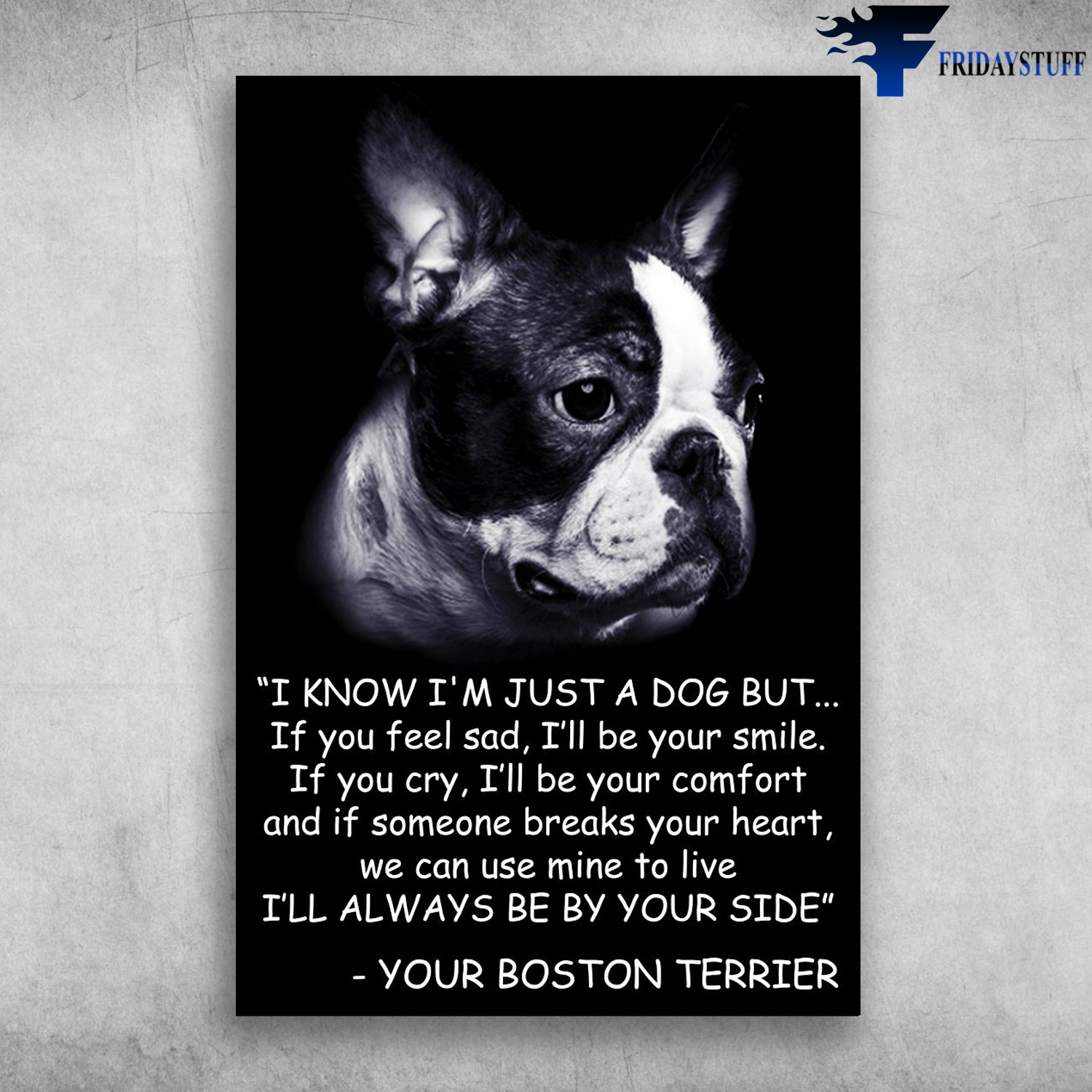 Boston Terrier - I Know I'm Just A Dog But, If You Feel Sad, I'll Be Your Smile, If You Cry, I'll Be Your Comfort And If Someone Breaks Your Heart, We Can Use Mine To Live, We Can Use Mine To Live, I'll Always Be By Your Side, Your Boston Terrier