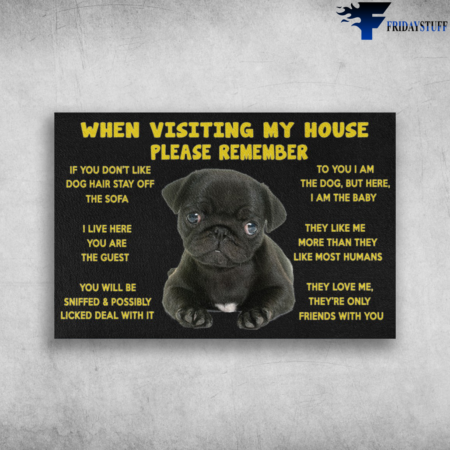 French Bulldog - When Visiting My House, Please Remember, If You Don't Like Dogs Hair Stay Off The Sofa, I Live Here You Are The Guest, You Will Be Sniffed And Possibly Licked Deal With It, To You I Am The Dog, But Here, I Am The Baby
