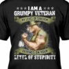 I am a Grumpy Veteran with level of sarcasm depends on your