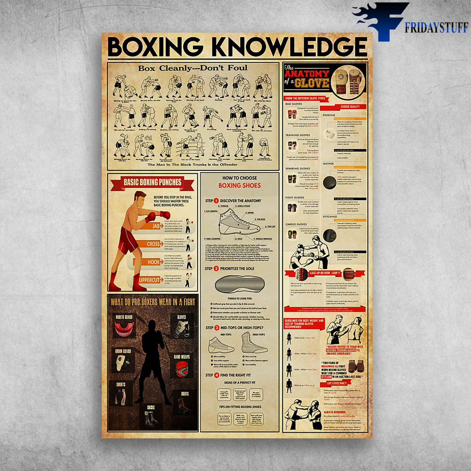 Boxing Knowledge - Box Cleanly, Don't Foul, Basic Boxing Punches, How To Choose Boxing Shoes, Anatomy Glove