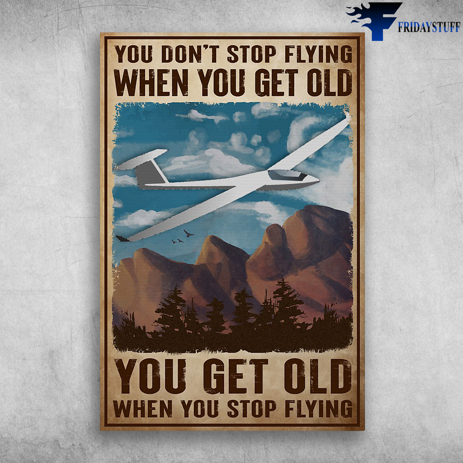 Gliding On The Plane - You Don't Stop Flying When You Get Old, You Get Old When You Stop Flying