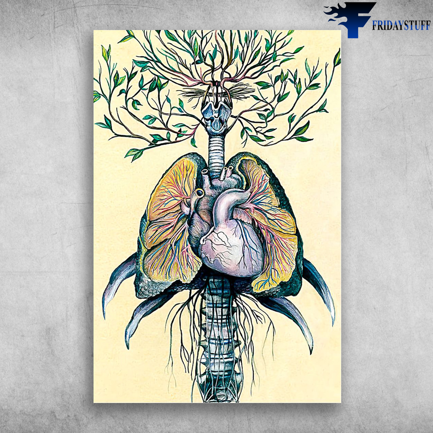 Human Heart Lung Tree Cardiologist