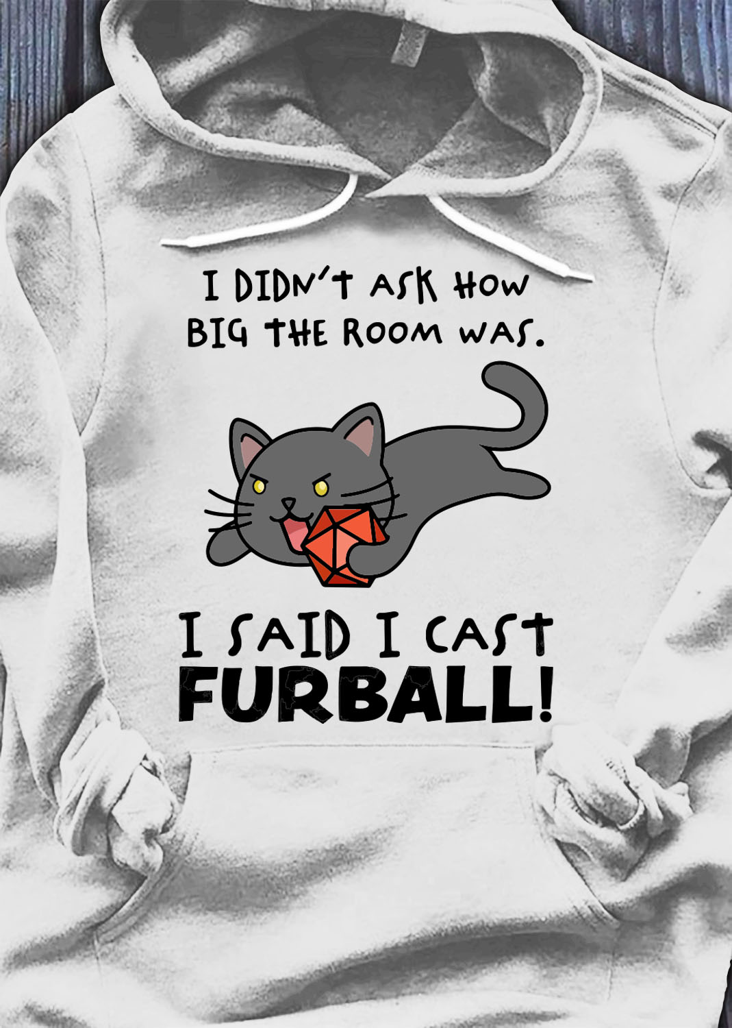 I didn't ask how big the room was I said I cast furball - Black cat with furball