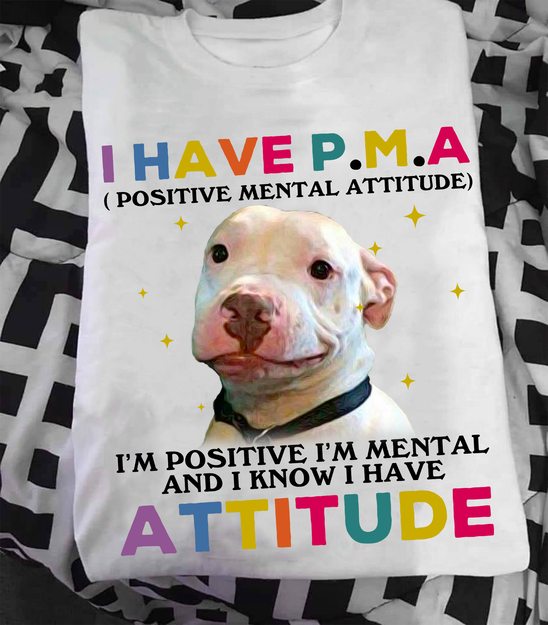 I have positive mental attitude I'm positive I'm mental and I know I have attitude