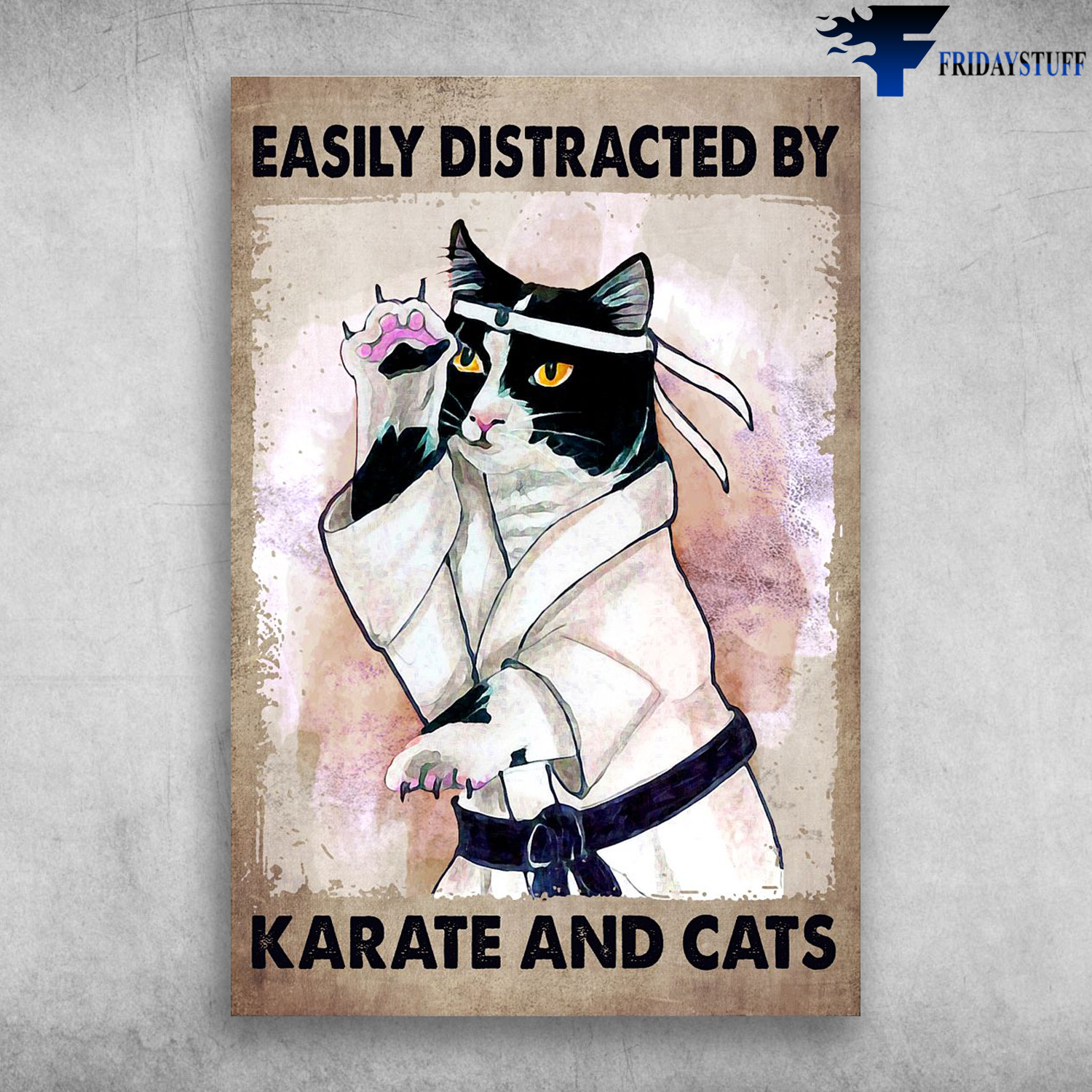 Karate Cat - Easily Distracted By Karate And Cats