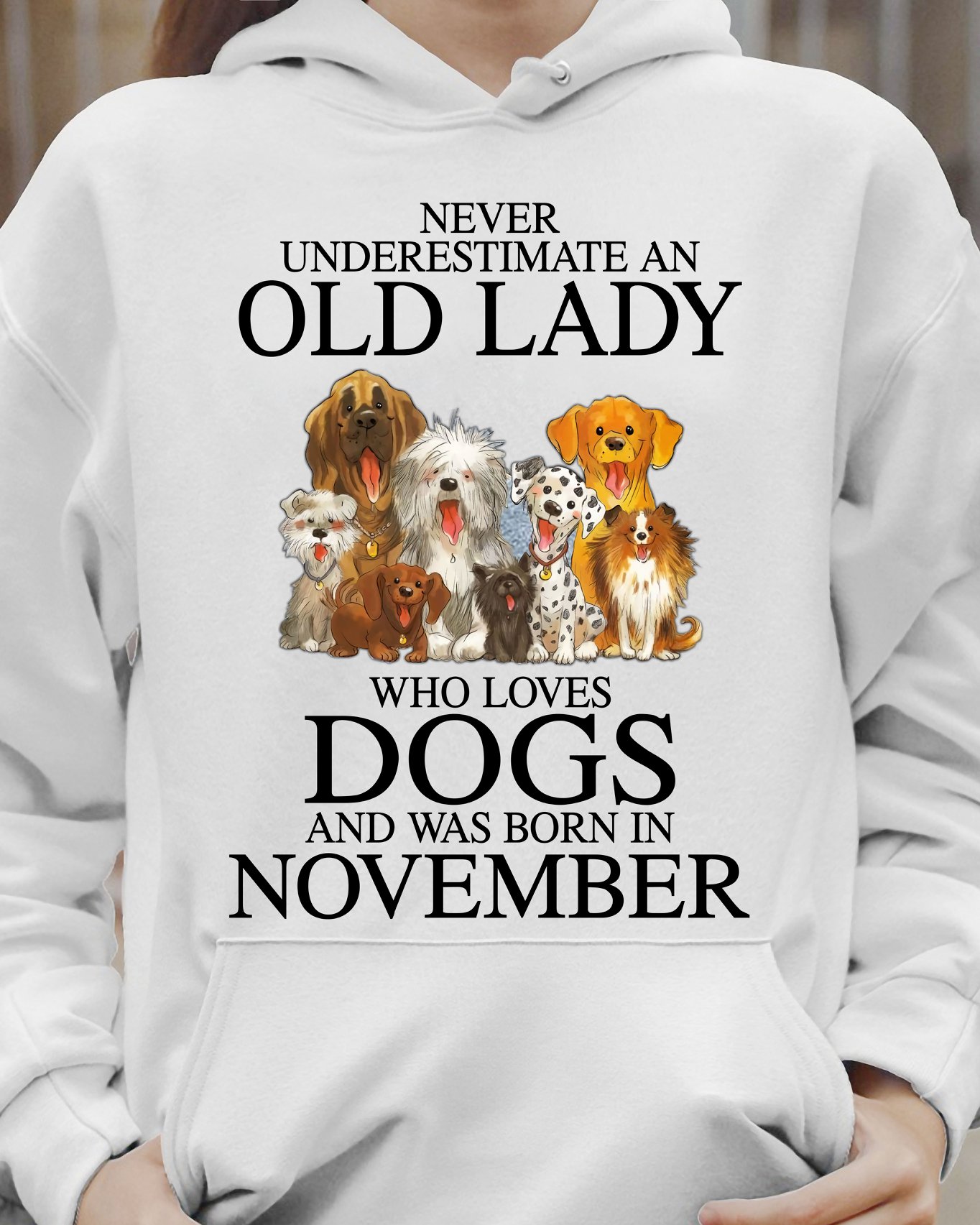 Never underestimate an old lady who loves dogs and was born in November