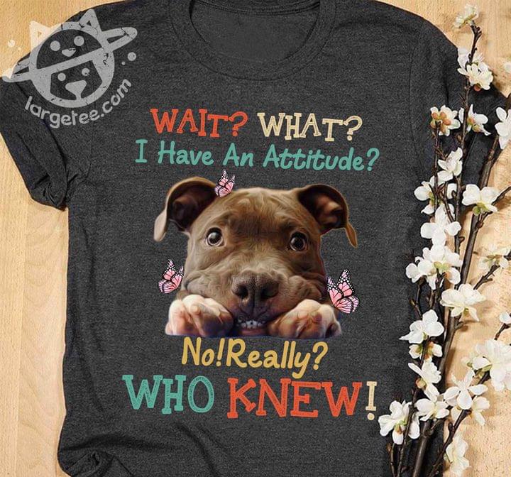 Pitbull Dog - Wait what I have an attitude no really who knew