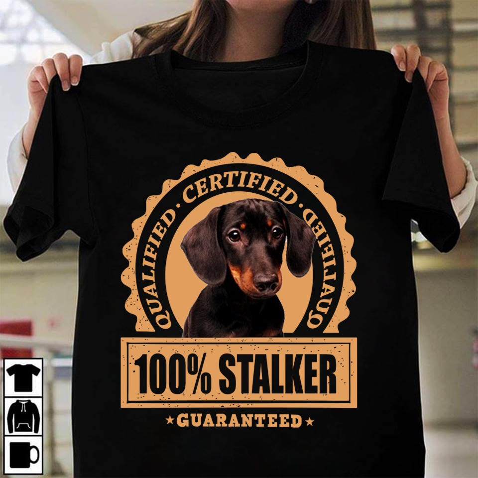 Qualified certified 100% stalker guaranteed - Dachshund dog