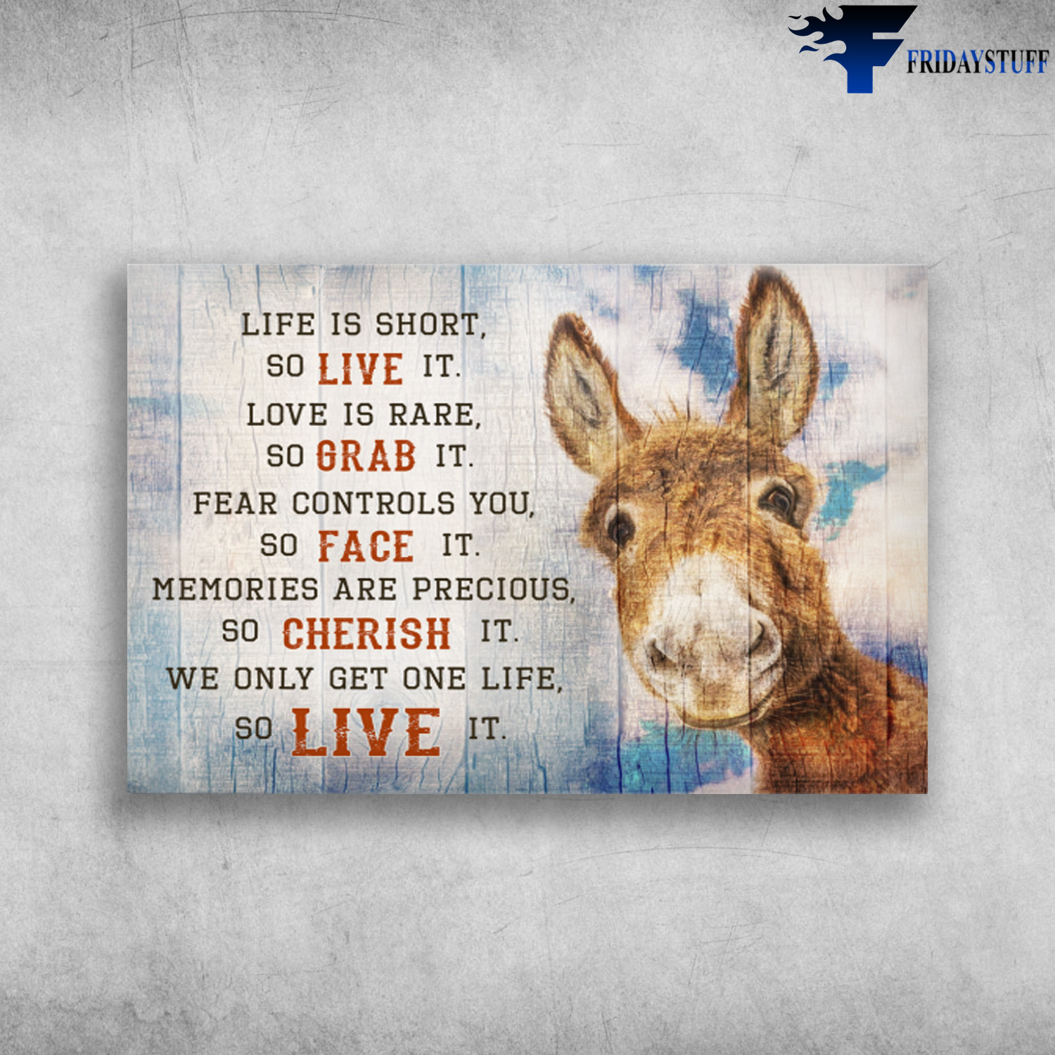 The Baby Donkey - Life Is Short, So Live It, Love Is Race, So Grab It, Fear Controls You, So Face It, Memories Are Precious, So Cherish it, We Only Get One Life, So Live It