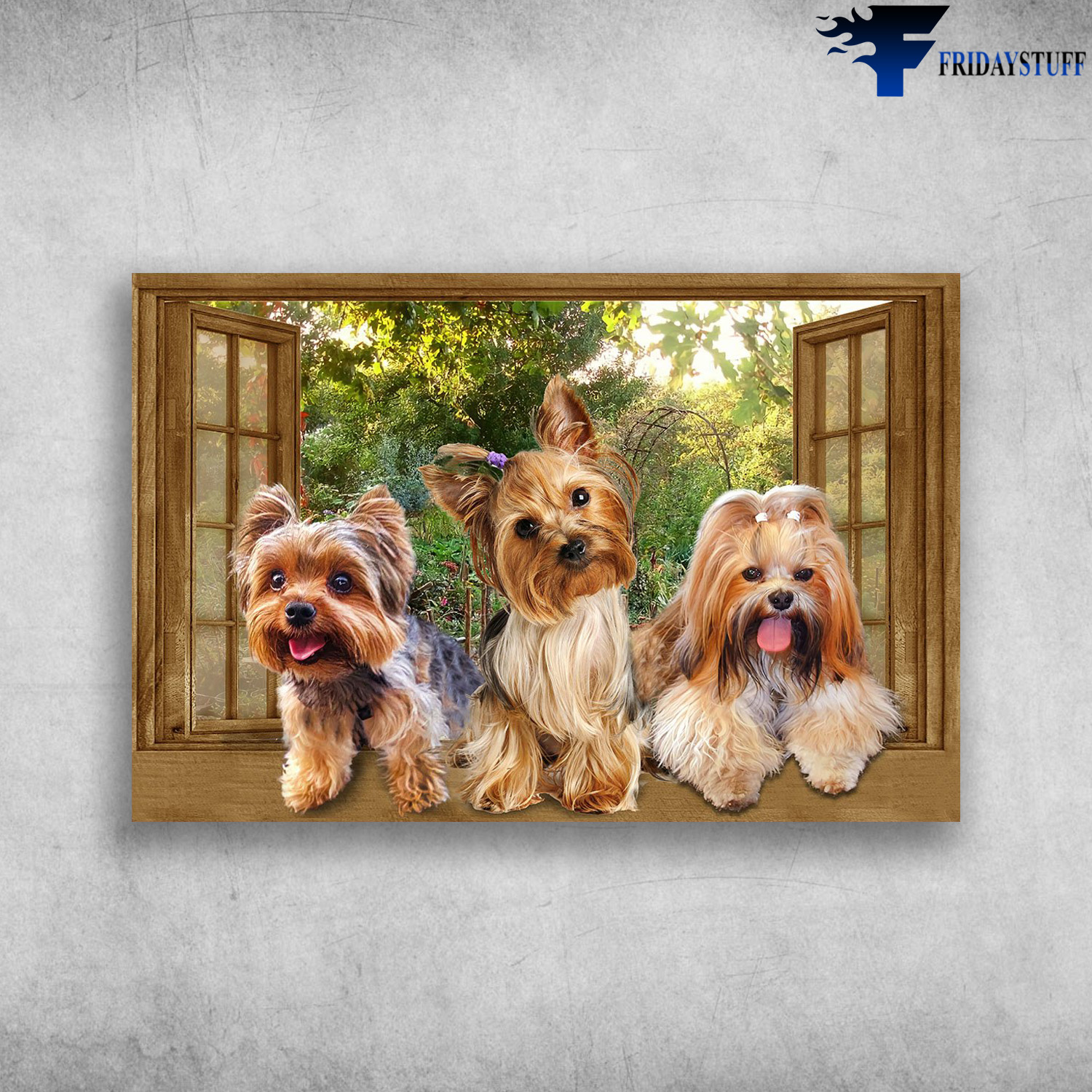 Yorkshire Terrier Dog Outside The Window