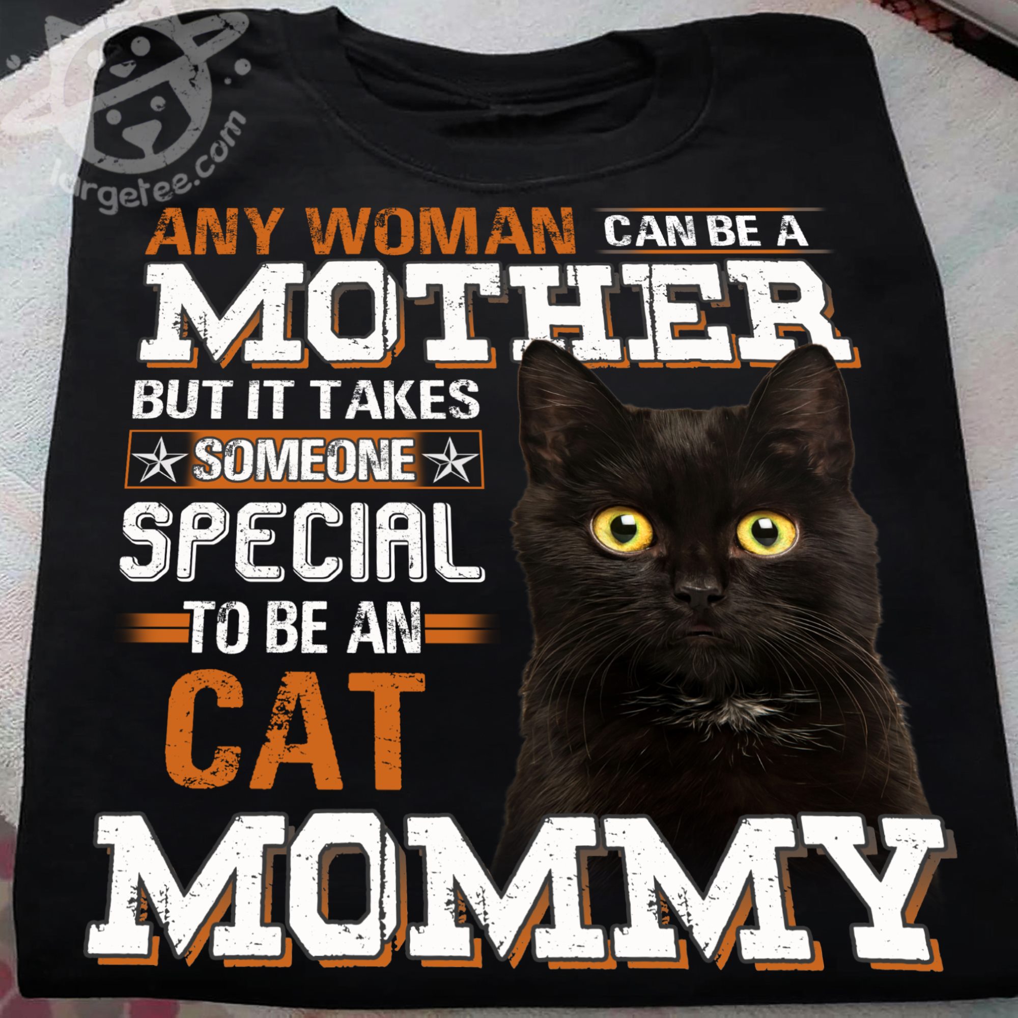 Any woman can be a mother but it takes someone special to be an cat mommy