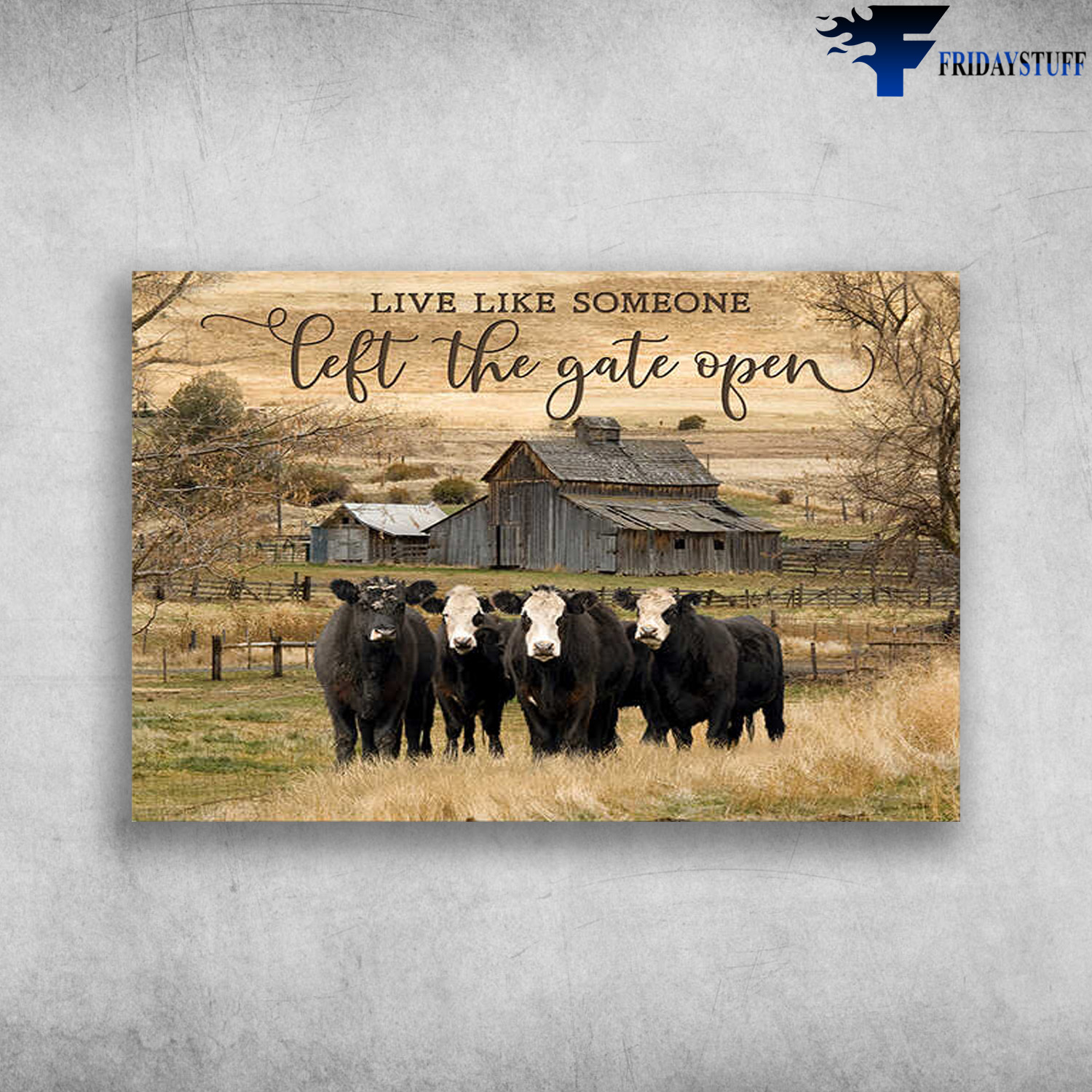 Black Cow On The Farm - Live Like Someone, Left The Gate Open