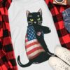 Black cat and America flag - Cat lover