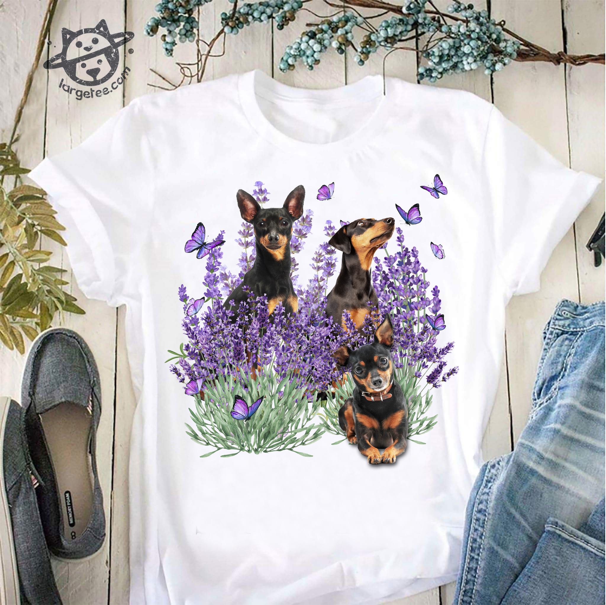 Chihuahua dog - Dog and butterflies