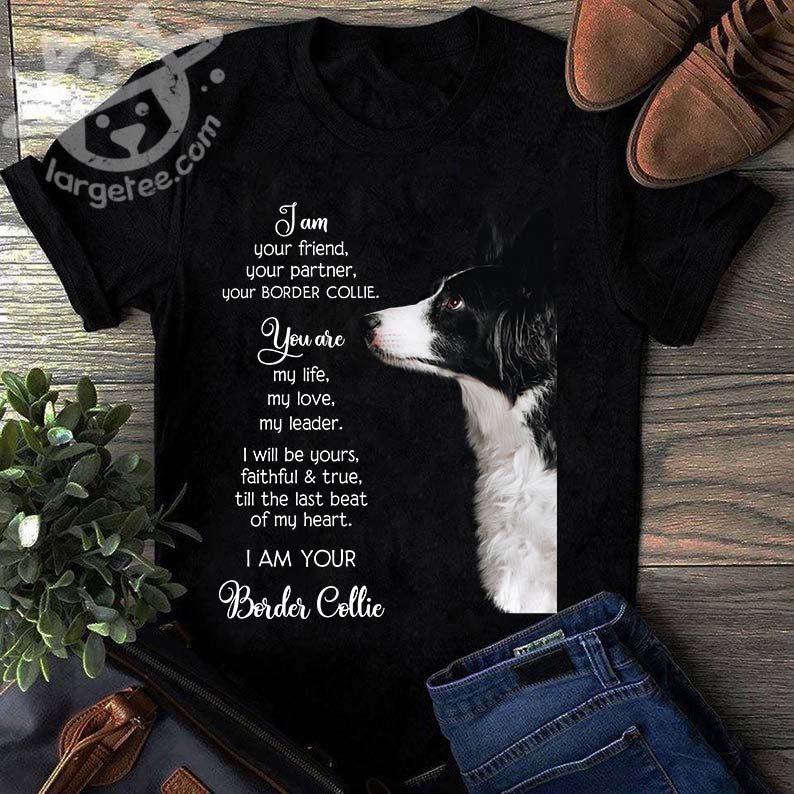 I am your friend, your partner, your Border Collie - You are my life, my love, my leader