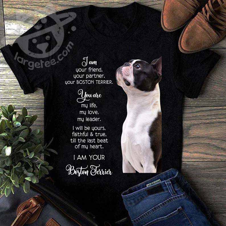 I am your friend, your partner, your Boston Terrier - You are my life, my love, my leader