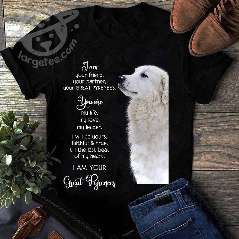 I am your friend, your partner, your Great Pyrenee - Great Pyrenees dog