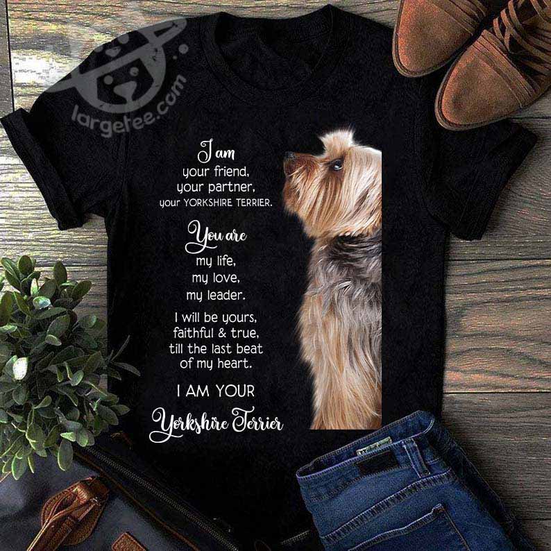 I am your friend, your partner, your Yorkshire Terrier - You are my life, my love, my leader
