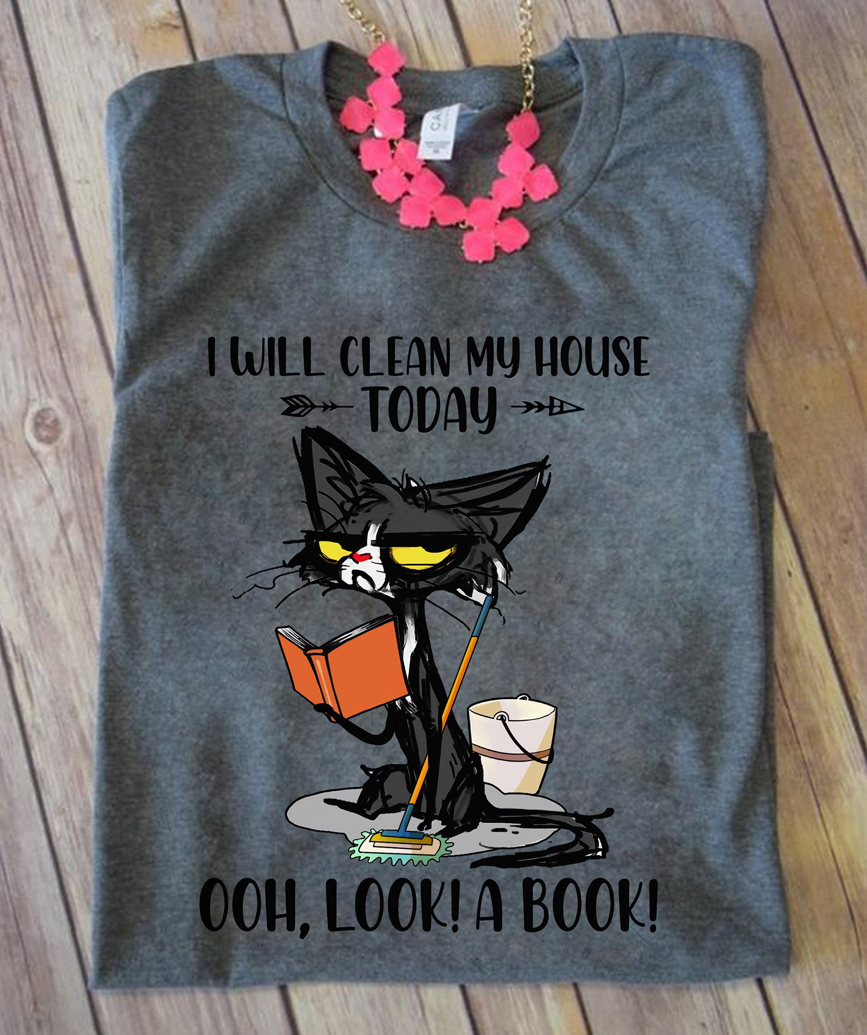 I will clean my house today Ooh, Look a book! Black cat