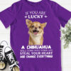 If you are lucky a chihuahua will come into your life steal your hurt - Dog lover