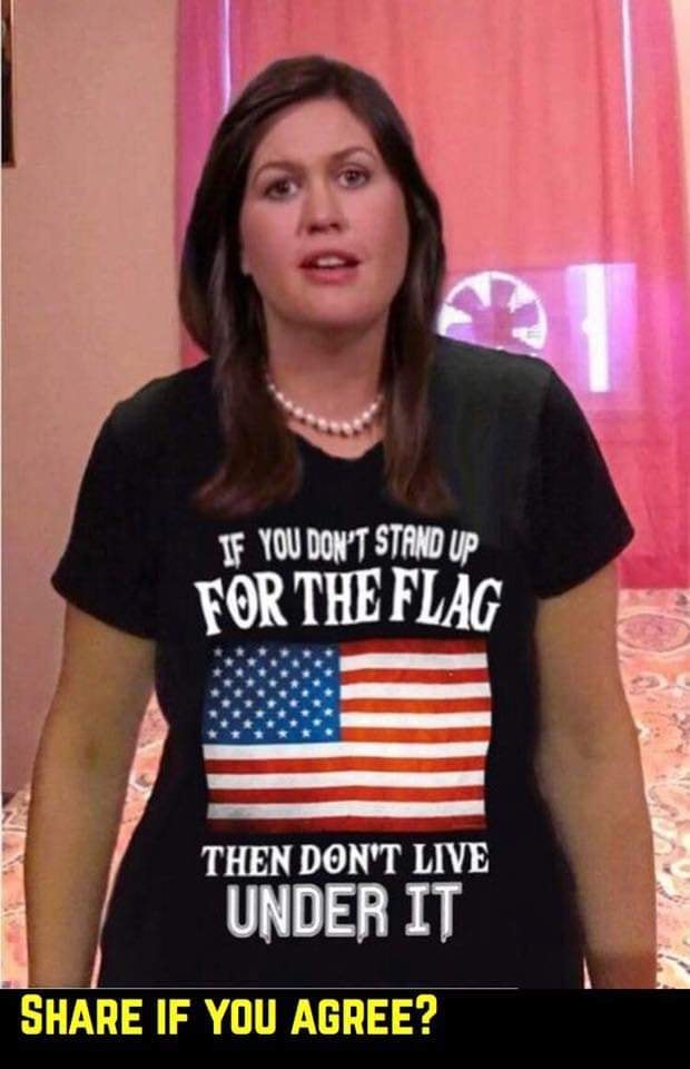 If you don't stand up for the flag then don't live under it - America flag