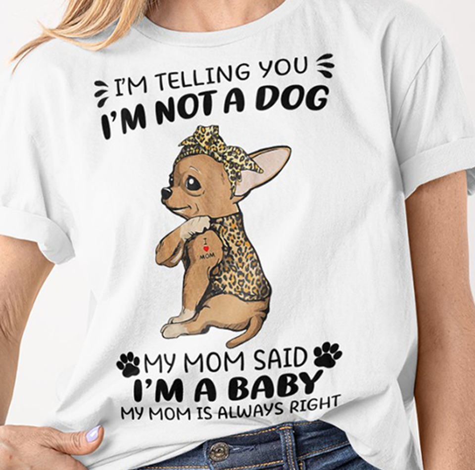 I'm telling you I'm not a dog my mom said I'm a baby - Chihuahua