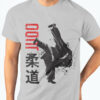 Judo Japanese kungfu - Judo lover