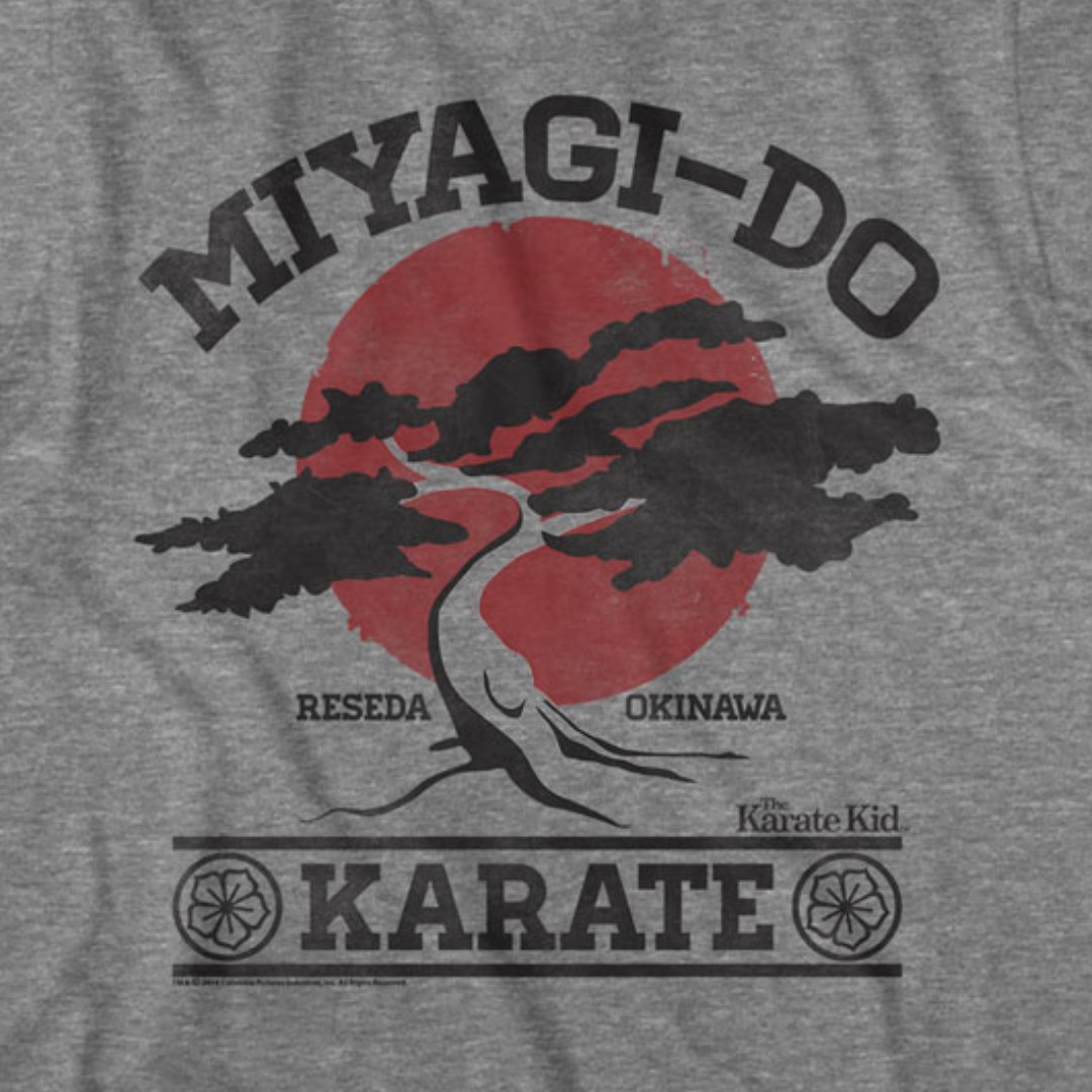 Miyagi-Do Reseda, Okinawa - The karate kid, Japan flag
