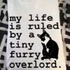 My life is ruled by a tiny furry overlord - Black cat