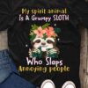 My spirit animal is a grumpy sloth who slap annoying people