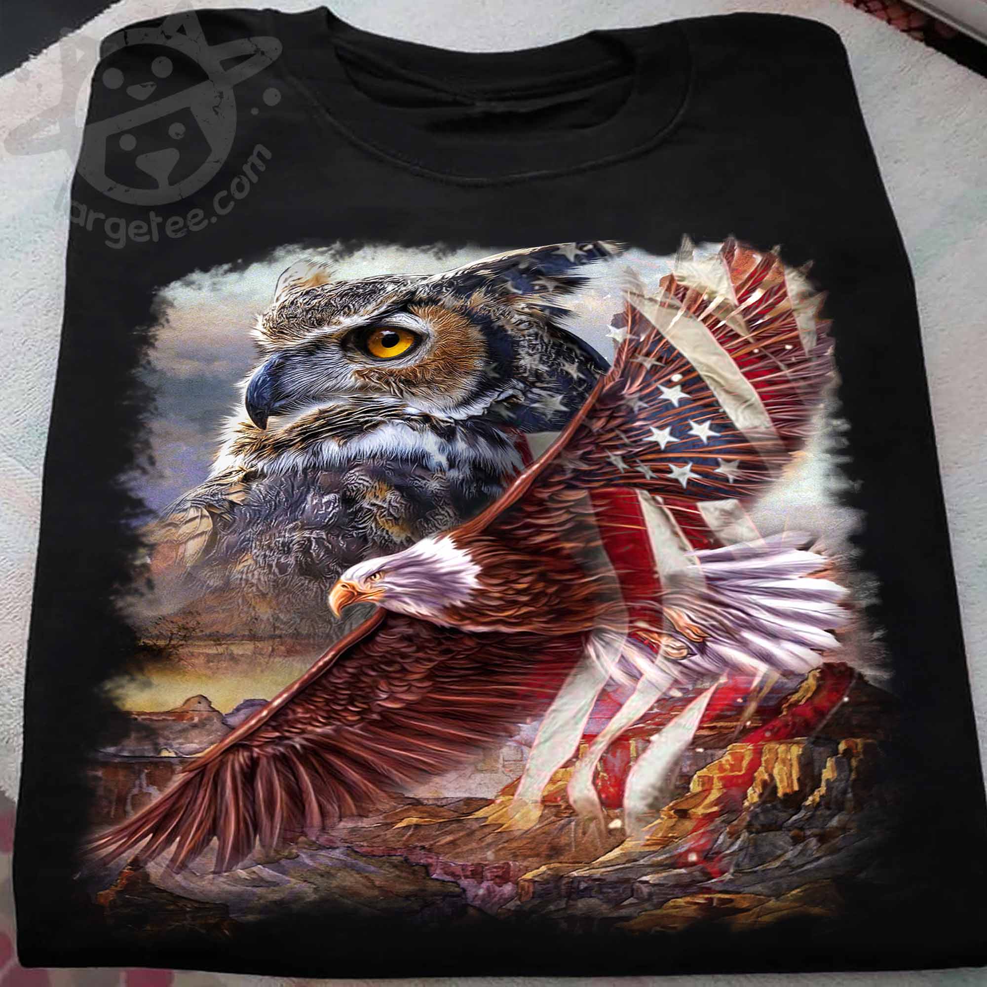 Owl and eagle the symbol of America - America flag