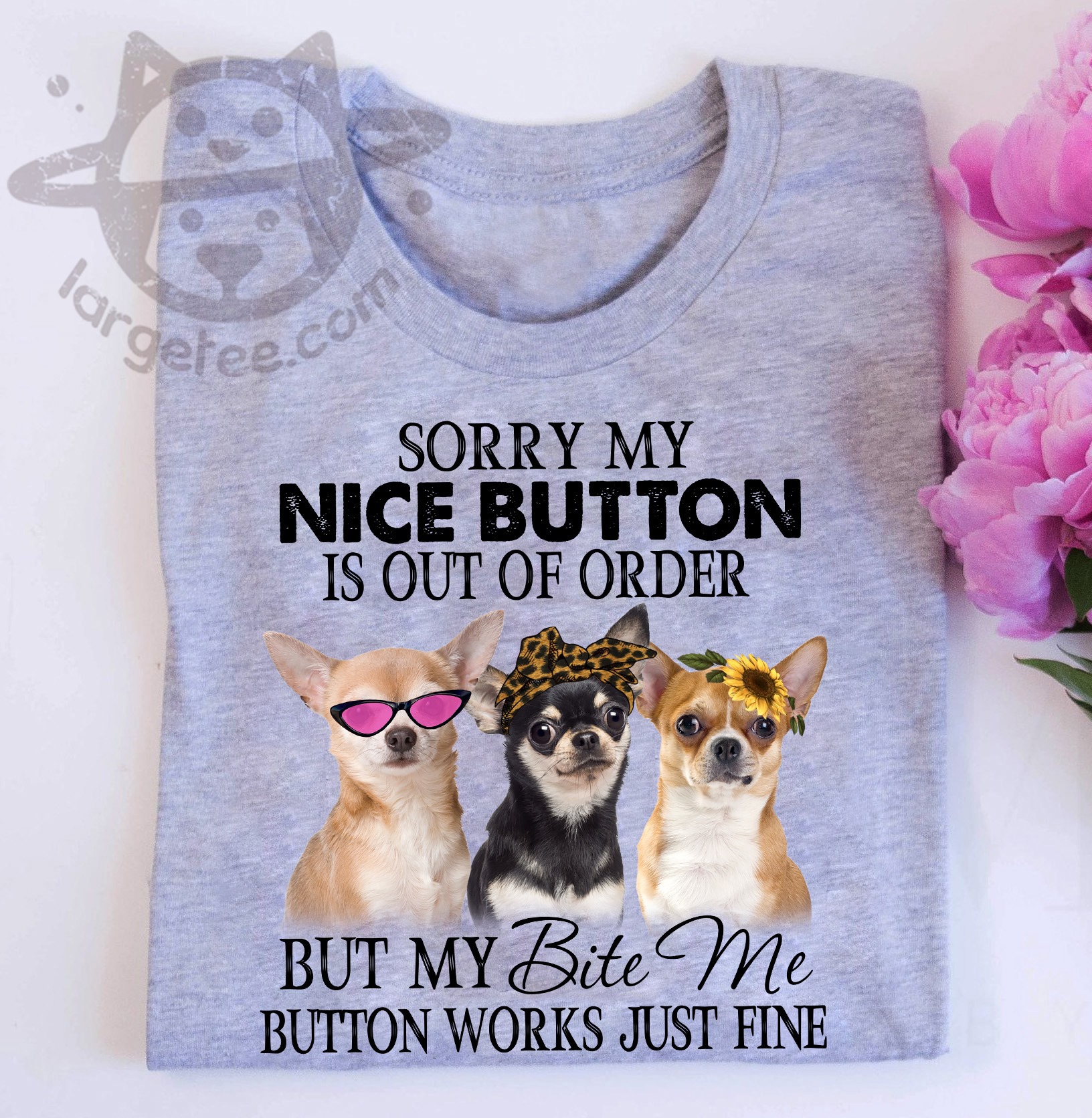 Sorry my nice button is out of order but my bite me button works just fine - Chihuahua dog