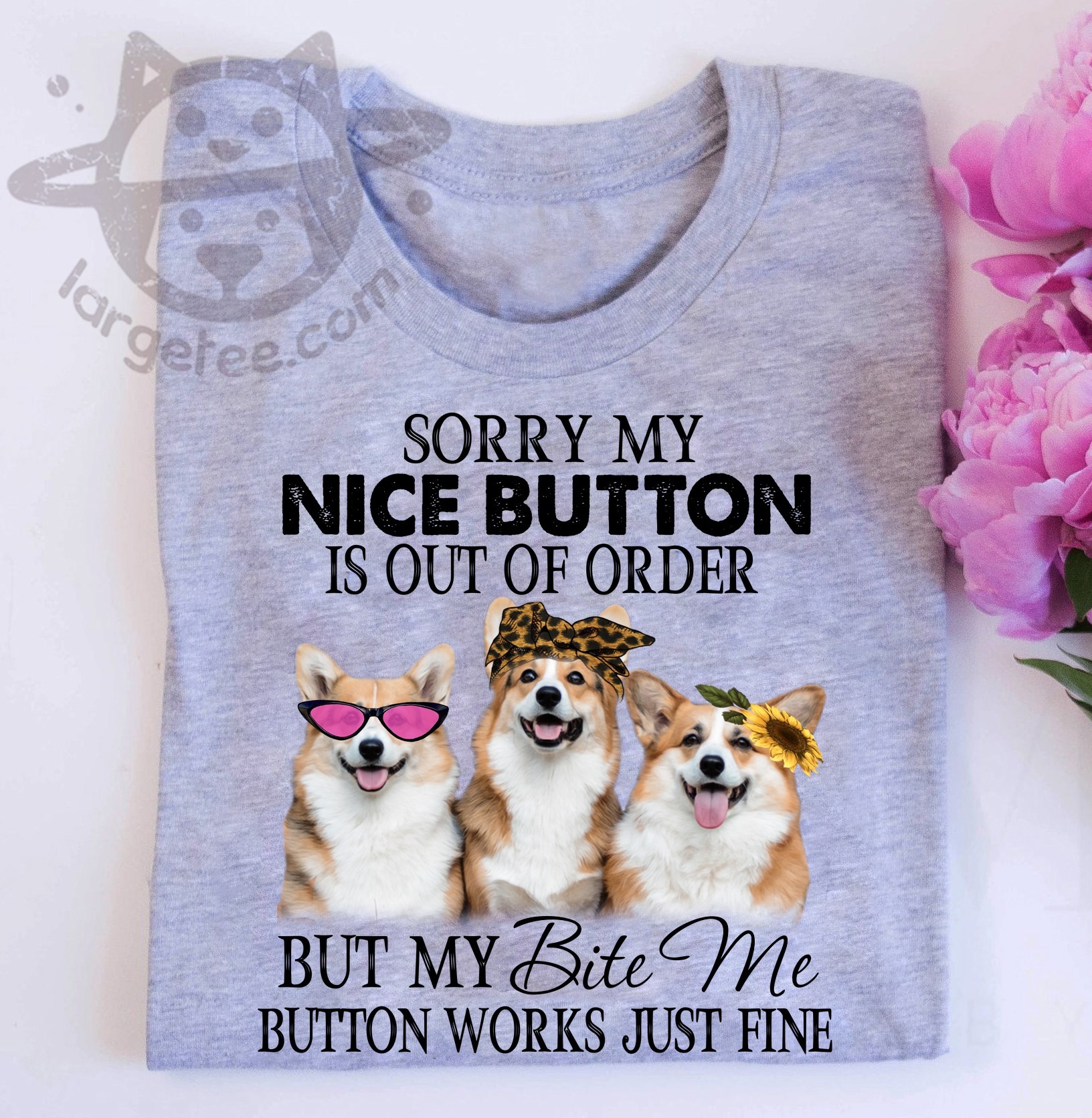 Sorry my nice button is out of order but my bite me button works just fine - Corgi dog