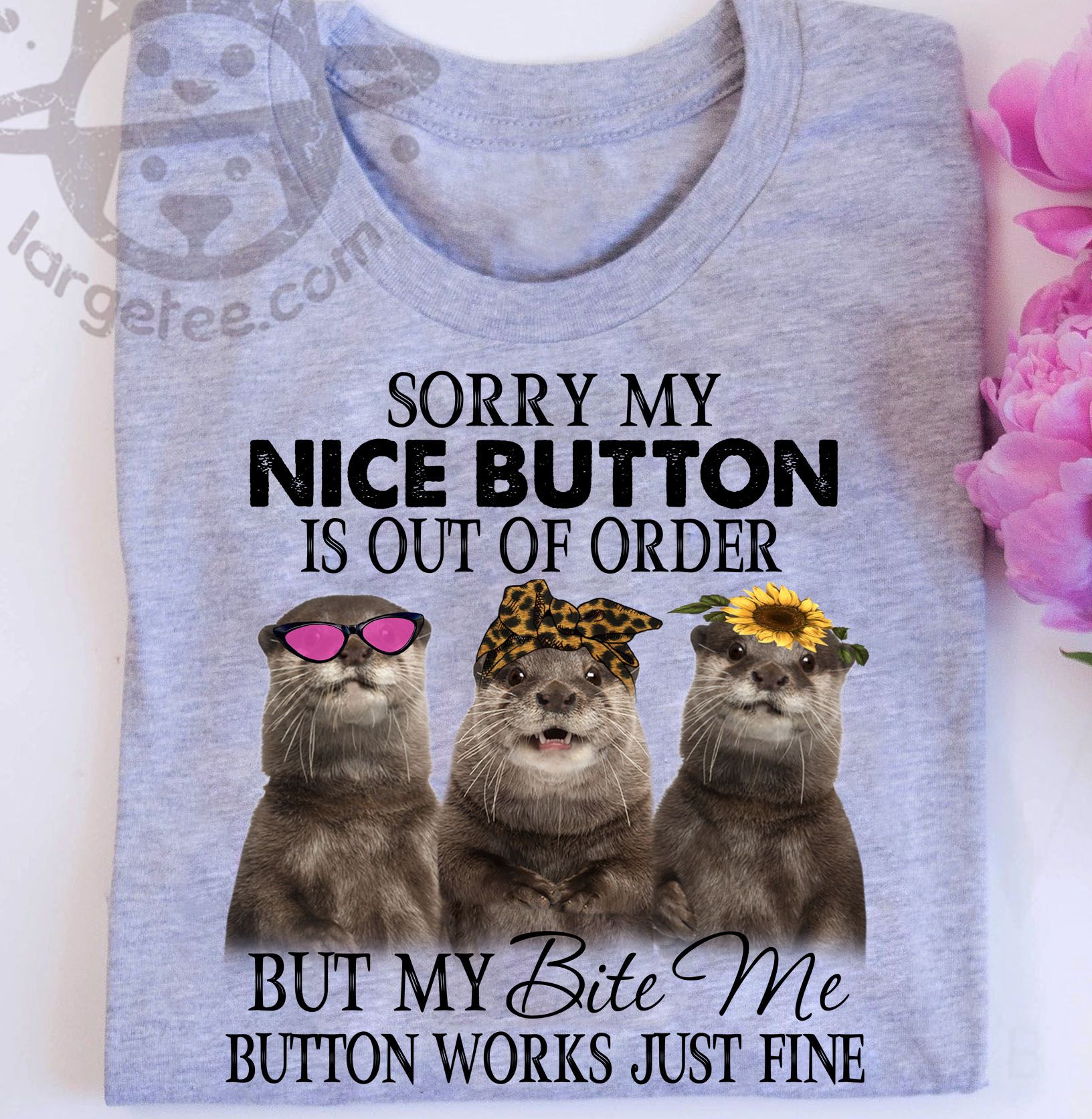 Sorry my nice button is out order - American beaver