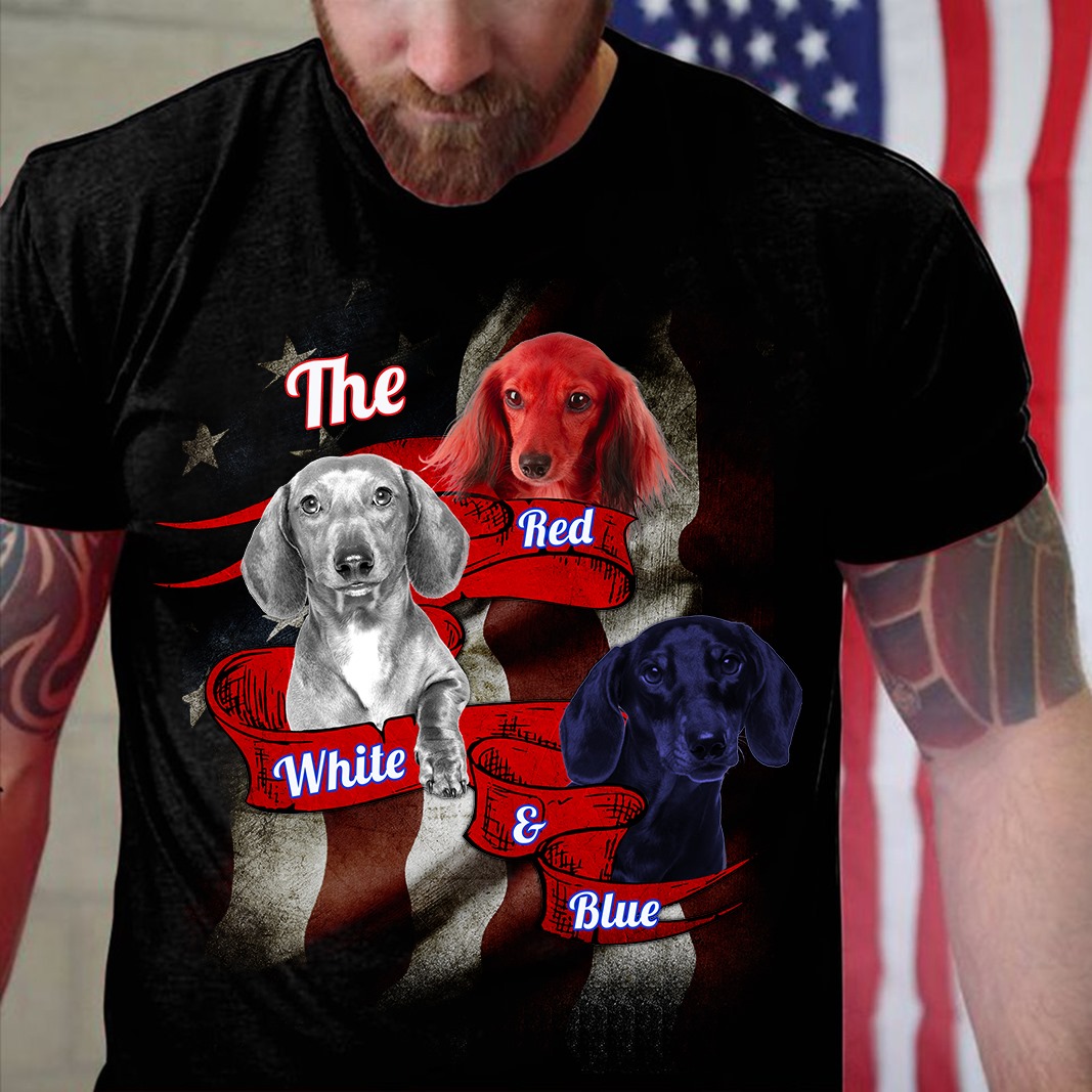 The red white and blue - Kinds of dog
