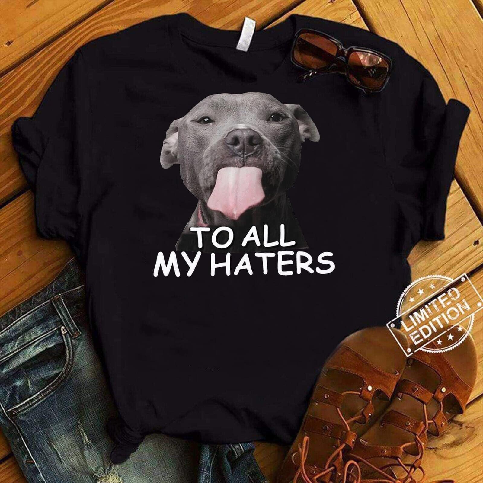 To all my haters - Pitbull dog