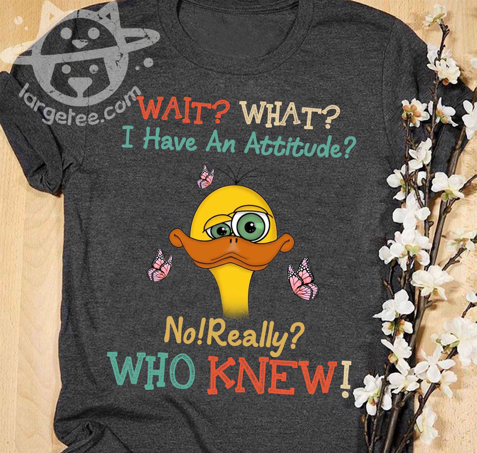 Wait what I have an attitude No really Who knew - Duck