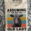 Assuming I'm just an old lady was your first mistake - Grumpy cow