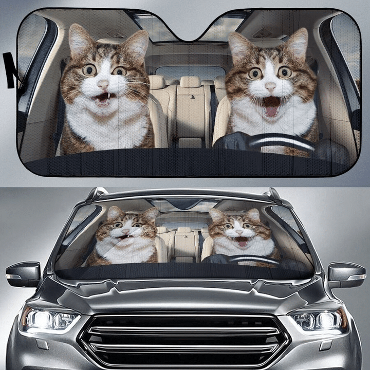 Cat In The Car, Funny Cats