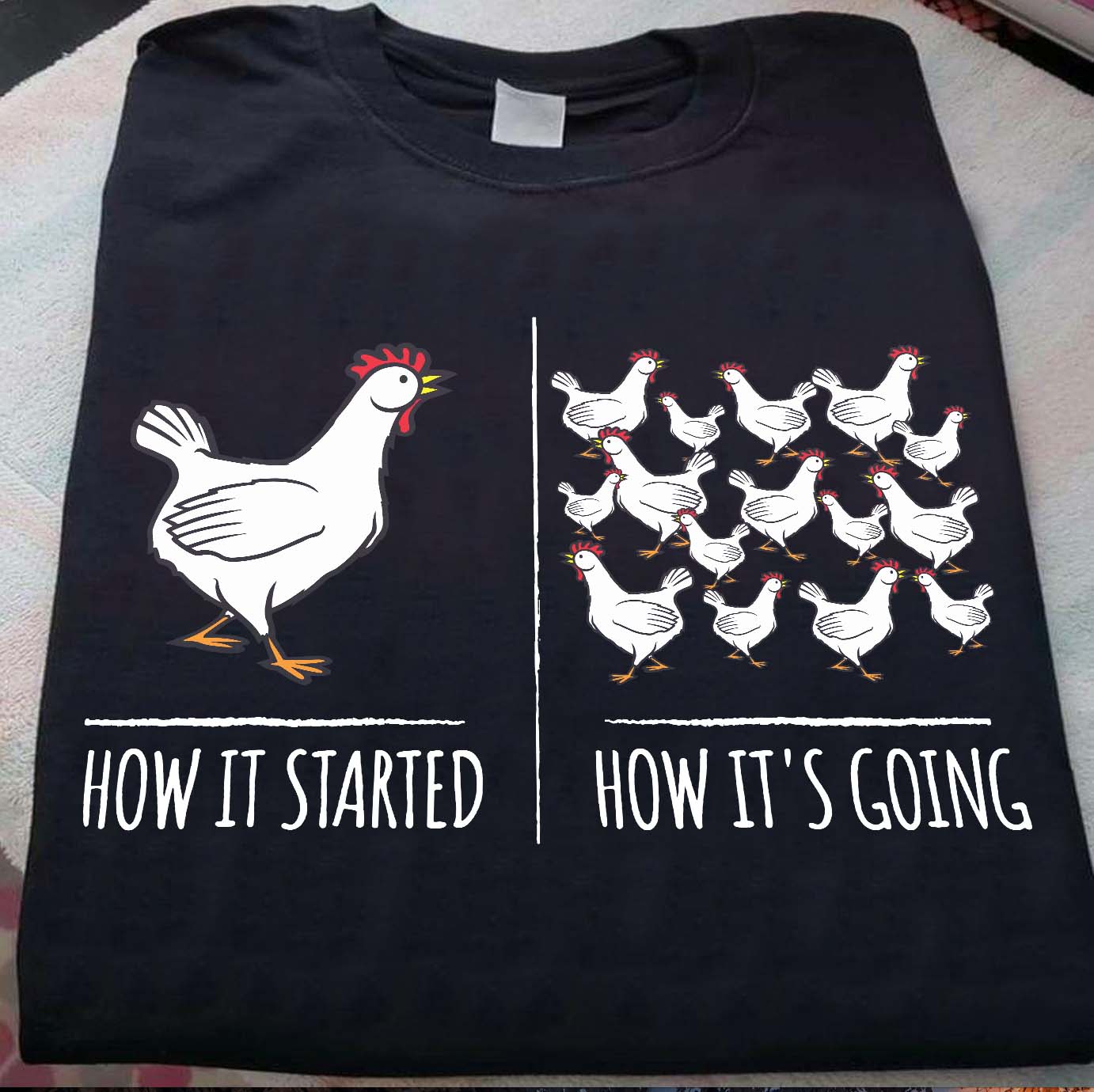 How it started how it's going - Grumpy chickens