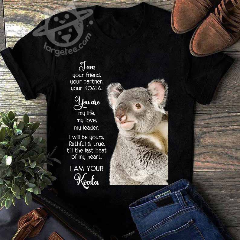 I am your friend, your partner, Your Koala - Koala bear