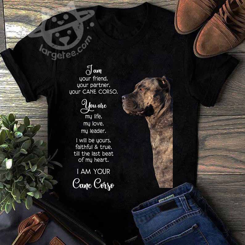 I am your friend, your partner, your Cane Corso - Cane Corso dog