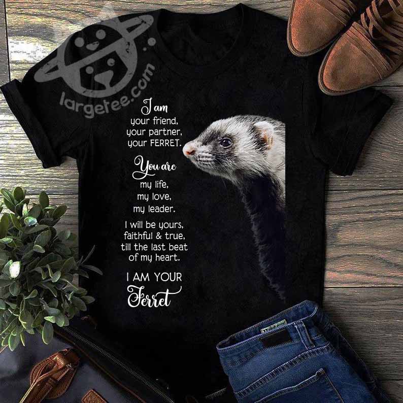 I am your friend, your partner, your Ferret - Ferret lover